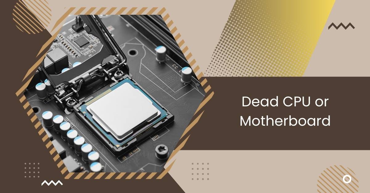 Dead CPU or Motherboard